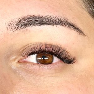 Light Volume ( 2D - 3D ) neuset